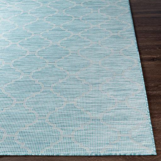 Surya Pasadena PSA-2341 2'6" x 4' Rug