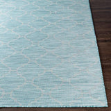 Surya Pasadena PSA-2341 2'6" x 4' Rug