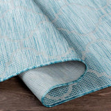 Surya Pasadena PSA-2341 2'6" x 4' Rug