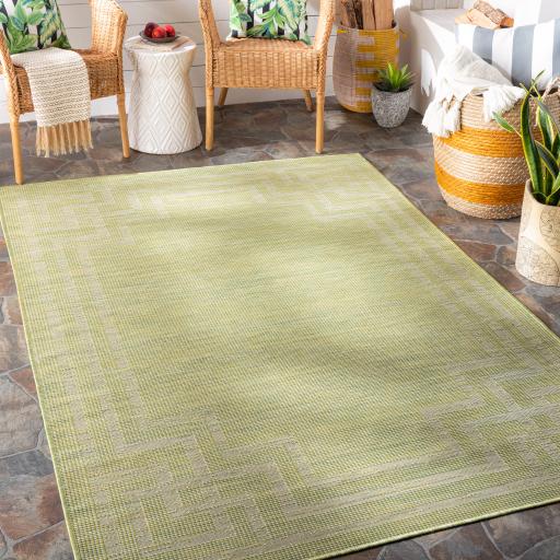 Surya Pasadena PSA-2348 2'6" x 4' Rug