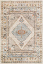 Livabliss Pertek PTK-2311 2'7" x 7'3" Machine Woven Rug