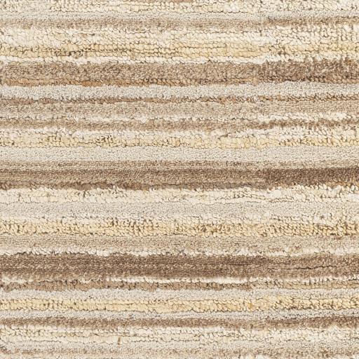 Surya Petra PTR-2301 2' x 3' Rug