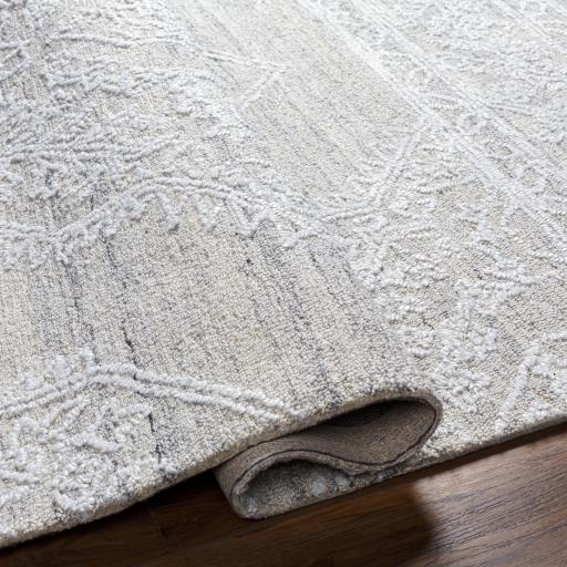 Surya Piazza PZZ-2300 2' x 3' Rug