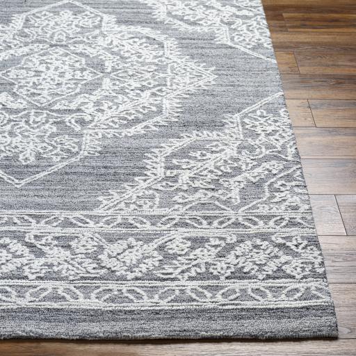 Surya Piazza PZZ-2301 2' x 3' Rug