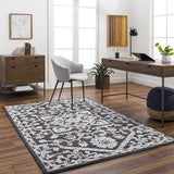 Surya Piazza PZZ-2302 2' x 3' Rug