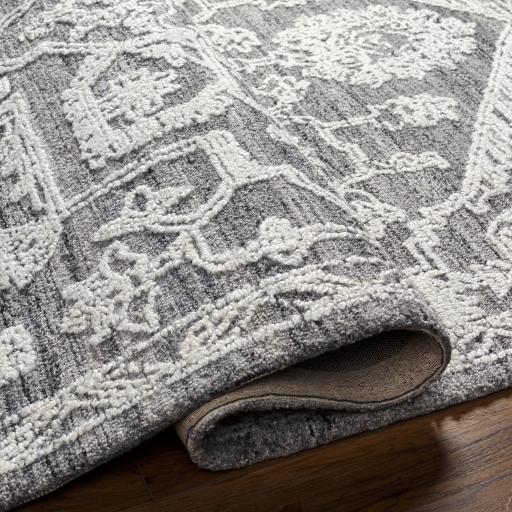 Surya Piazza PZZ-2303 2' x 3' Rug