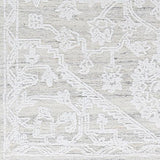 Surya Piazza PZZ-2304 2' x 3' Rug