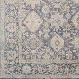 Surya Piccadilly PDY-2300 10' x 14' Rug