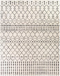 Surya Pisa PSS-2300 5'3" Square Rug