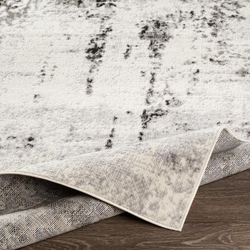 Surya Pisa PSS-2303 7'10" x 10' Rug