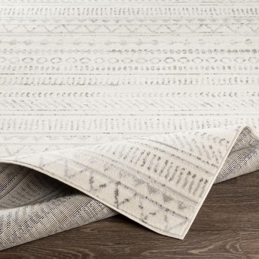 Surya Pisa PSS-2304 4'11" x 7' Rug