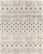 Livabliss Pisa PSS-2305 5' x 7' Machine Woven Rug