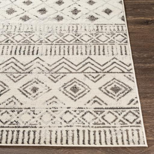 Surya Pisa PSS-2305 4'11" x 7' Rug