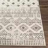 Surya Pisa PSS-2305 4'11" x 7' Rug