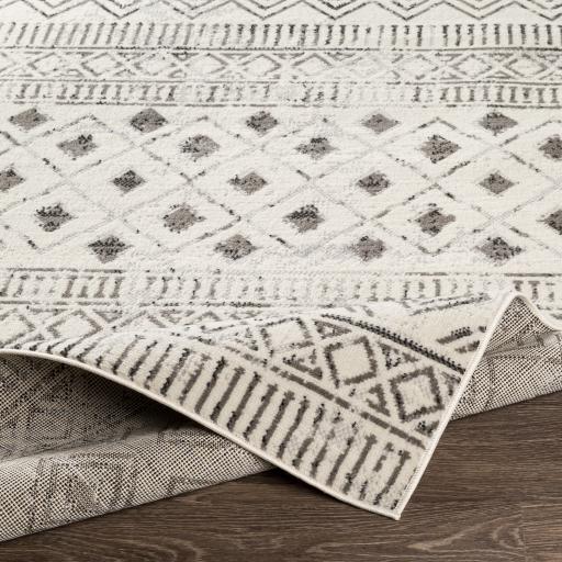 Surya Pisa PSS-2305 4'11" x 7' Rug
