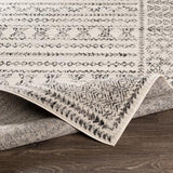 Surya Pisa PSS-2313 7'10" x 10' Rug