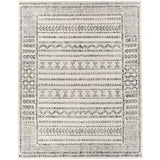 Surya Pisa PSS-2313 9'2" x 12' Rug