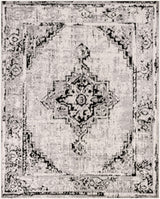 Livabliss Pisa PSS-2314 5' x 7' Machine Woven Rug