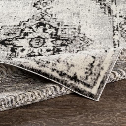 Surya Pisa PSS-2314 4'11" x 7' Rug