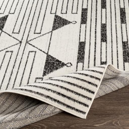 Surya Pisa PSS-2316 4'11" x 7' Rug
