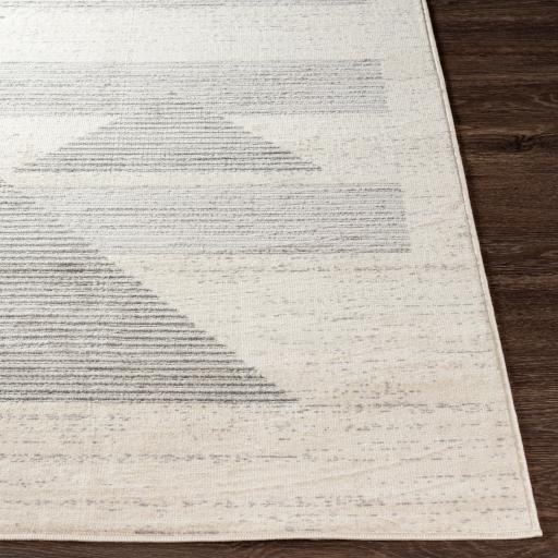 Surya Pisa PSS-2321 Charcoal Light Gray 4'11" x 7' Rug