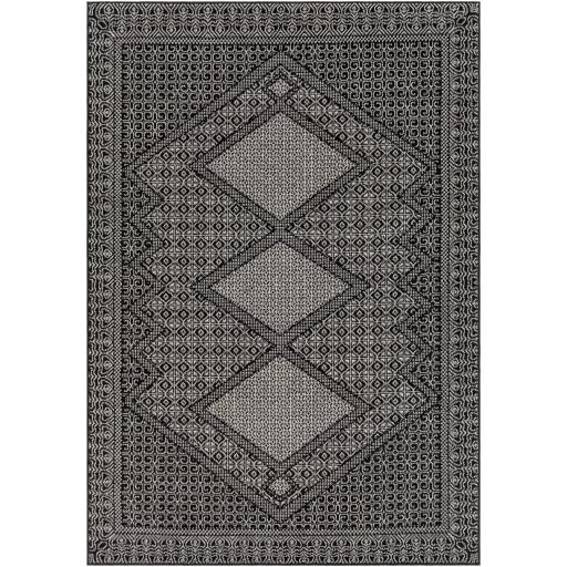 Surya Pisa PSS-2346 9'2" x 12' Rug