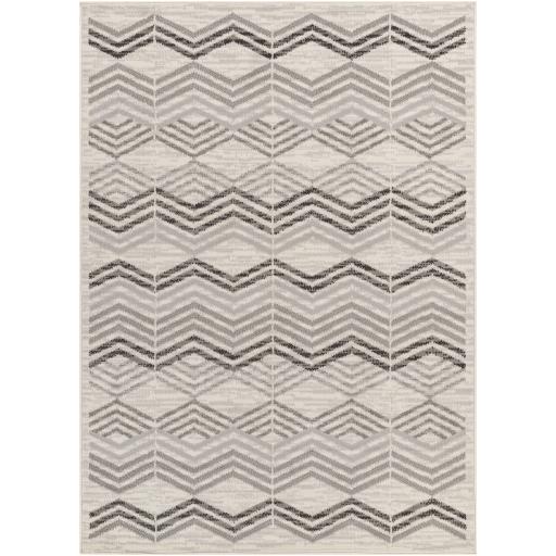 Surya Pisa PSS-2352 6'7" x 9' Rug