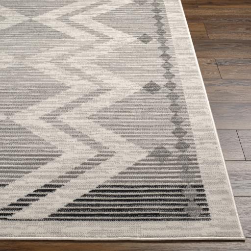 Surya Pisa PSS-2353 4'11" x 7' Rug