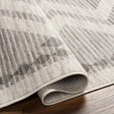 Surya Pisa PSS-2353 4'11" x 7' Rug
