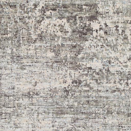 Surya Presidential PDT-2303 3'3" x 10' Rug
