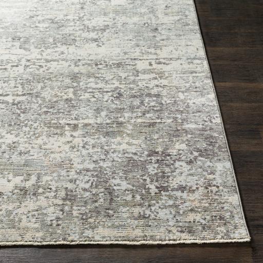 Surya Presidential PDT-2304 5' x 8'2" Rug