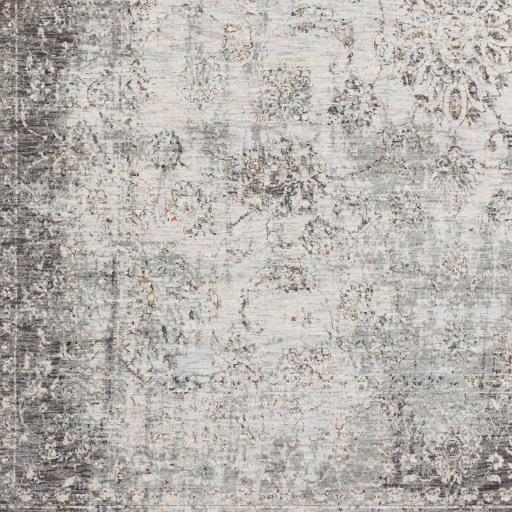 Surya Presidential PDT-2310 2' x 3'3" Rug