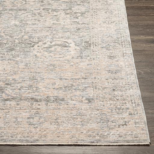 Surya Presidential PDT-2323 3'3" x 10' Rug