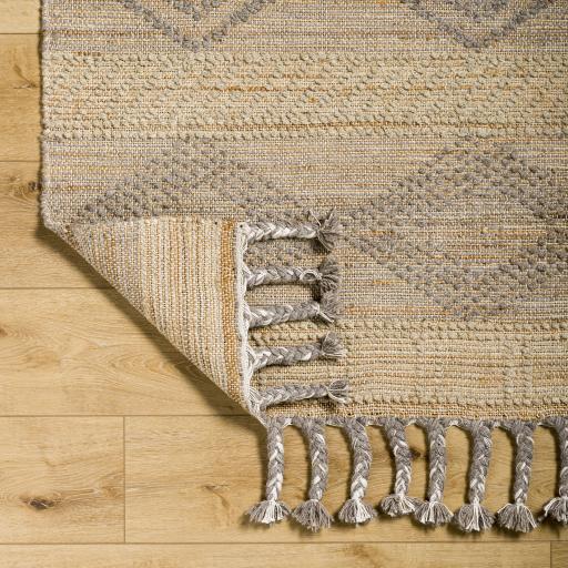 Surya Preston PTN-2300 2' x 3' Rug