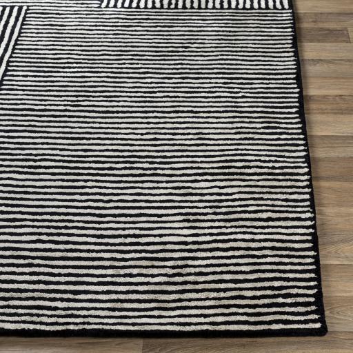 Surya Quartz QTZ-5037 Black Oatmeal 2' x 3' Rug