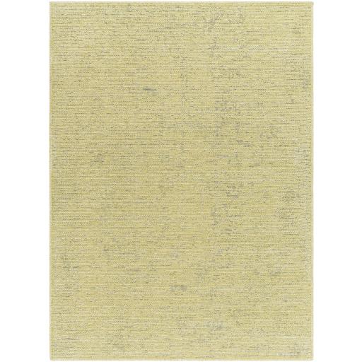 Surya Quebec QBC-2306 7'10" x 10' Rug