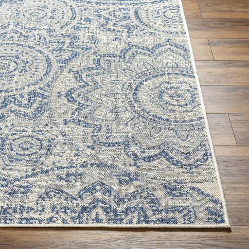 Surya Ravello RVL-2312 2' x 2'11" Rug