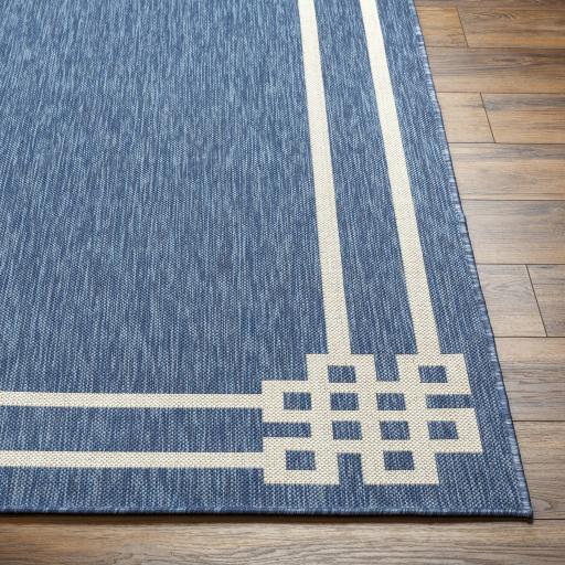 Surya Ravello RVL-2339 5'3" x 7' Rug