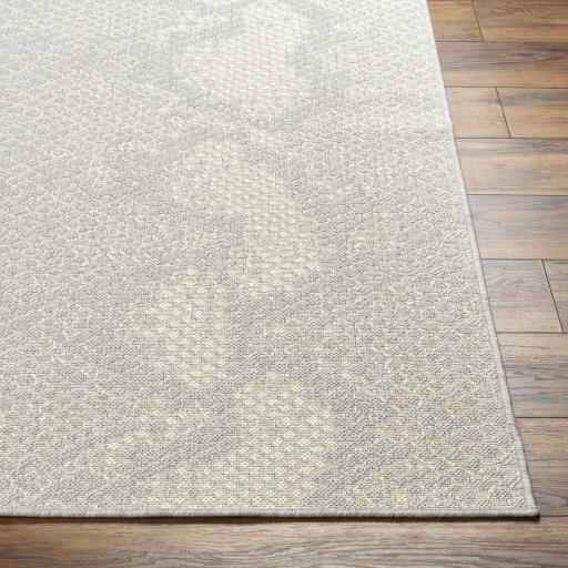 Surya Ravello RVL-2346 5'3" x 7' Rug