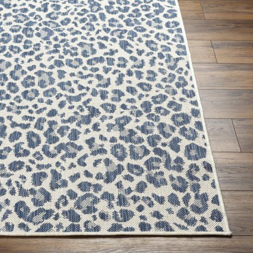 Surya Ravello RVL-2348 5'3" x 7' Rug