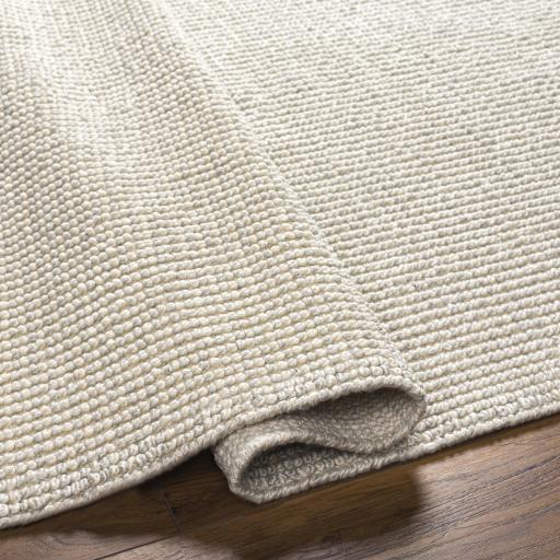 Surya Rebecca RBC-2300 2' x 3' Rug