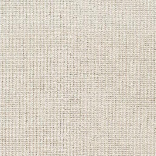 Surya Rebecca RBC-2300 2' x 3' Rug
