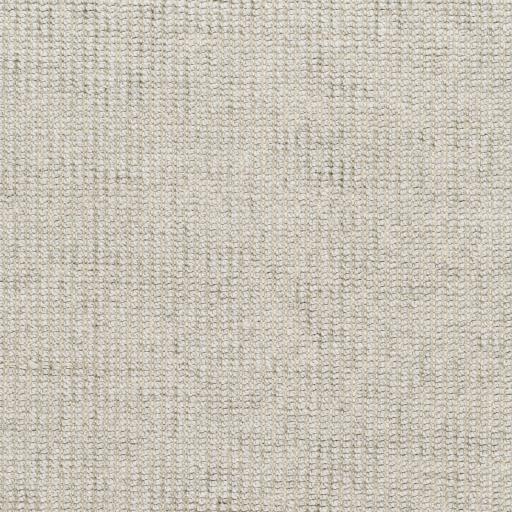 Surya Rebecca RBC-2304 5' x 7'6" Rug