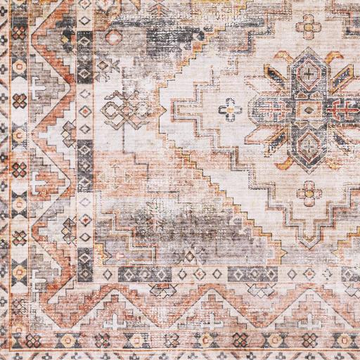 Surya Regen RGE-2309 2' x 3' Rug