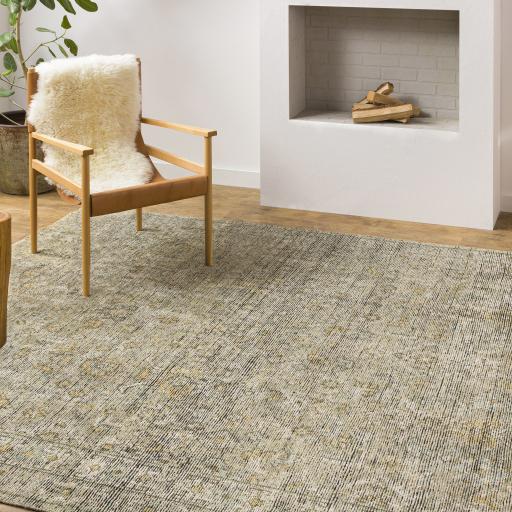 Surya Reign REG-2303 Black Brown 2' x 3' Rug
