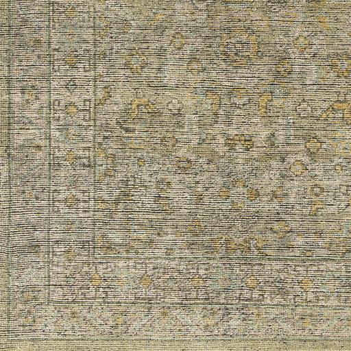 Surya Reign REG-2303 Black Brown 2' x 3' Rug