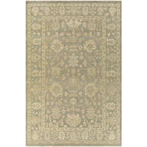 Surya Reign REG-2306 2' x 3' Rug