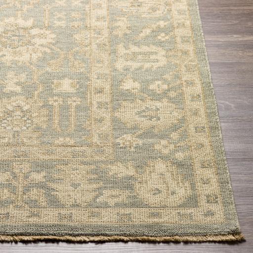 Surya Reign REG-2306 Beige Dusty Sage 6' x 9' Rug