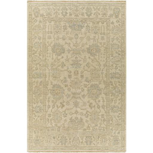 Surya Reign REG-2307 2' x 3' Rug