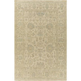 Surya Reign REG-2307 2' x 3' Rug